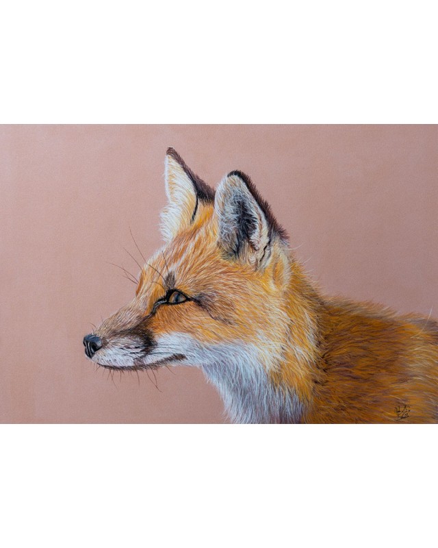 portrait renard réaliste pastel – Le Guetteur – Cindy Muraille
