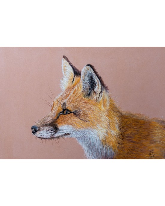 portrait renard réaliste pastel – Le Guetteur – Cindy Muraille