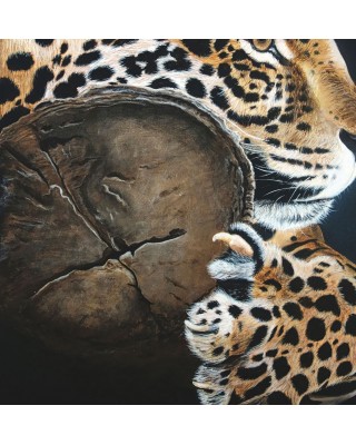 détail d'une peinture acrylique léopard réaliste – Le repos du guerrier – Cindy Muraille