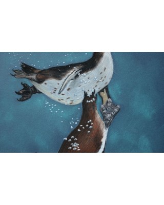 détail Pastel de deux manchots nageant sous l’eau – Le bal aquatique – Cindy Muraille