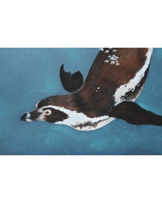 détail Pastel de deux manchots nageant sous l’eau – Le bal aquatique – Cindy Muraille