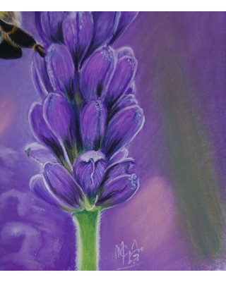 détail gros plan abeille sur lavande – Butin parfumé – Cindy Muraille