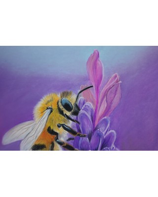 détail gros plan abeille sur lavande – Butin parfumé – Cindy Muraille