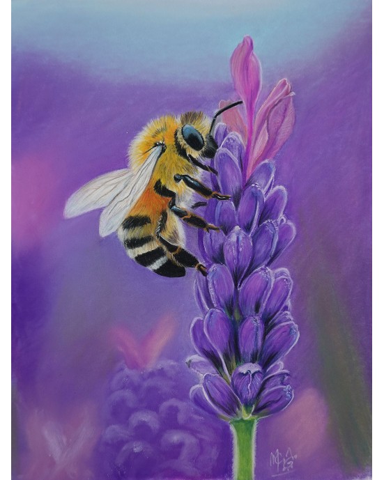 gros plan abeille sur lavande – Butin parfumé – Cindy Muraille