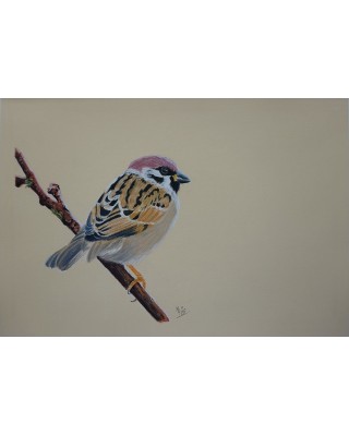 Légèreté perchée