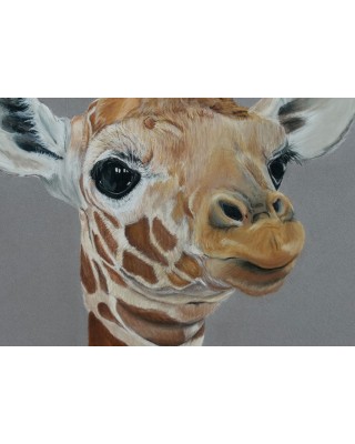 détail portrait girafon réaliste pastel – Cindy Muraille