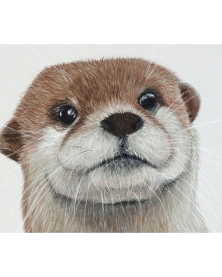 détail portrait loutre réaliste pastel – Petite bouille des rivières – Cindy Muraille