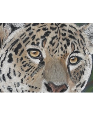 gros plan du regard d'un léopard réaliste pastel – Sur ses gardes – Cindy Muraille