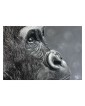 Reproduction d'un portrait gorille réaliste pastel – Le regard de l’âme – Cindy Muraille