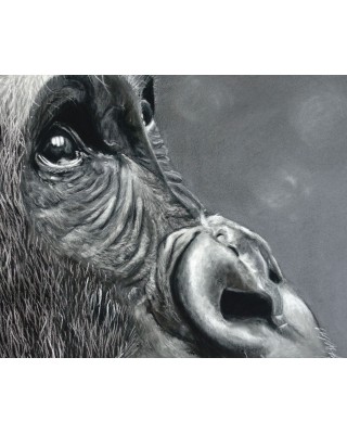 zoom portrait gorille réaliste pastel – Le regard de l’âme – Cindy Muraille