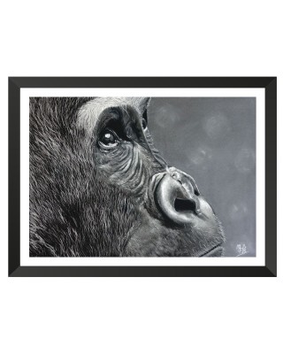 portrait encadré d'une reproduction de gorille réaliste pastel – Le regard de l’âme – Cindy Muraille