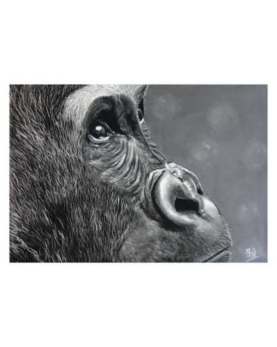 Carte postale d'un portrait gorille réaliste pastel – Le regard de l’âme – Cindy Muraille