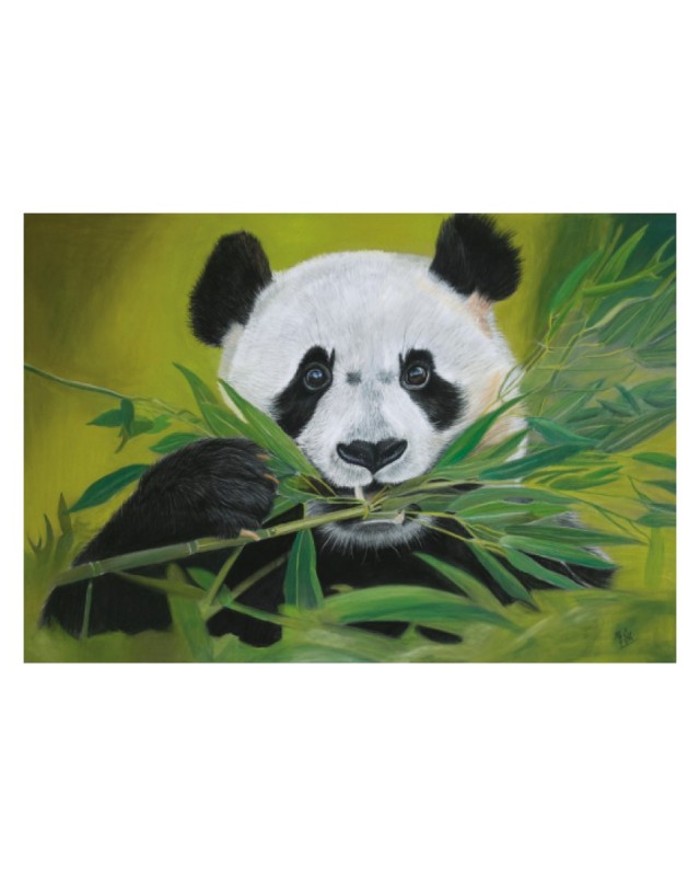 Carte postale d'un portrait panda réaliste pastel – Pause bambou – Cindy Muraille