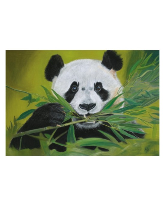 Carte postale d'un portrait panda réaliste pastel – Pause bambou – Cindy Muraille