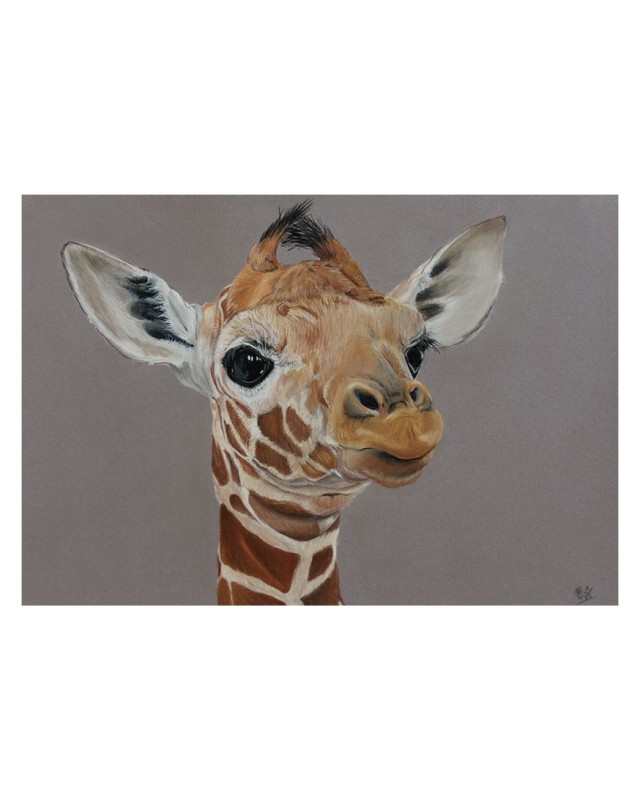 carte postale girafon réaliste pastel – Cindy Muraille