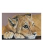 Reproduction d'un portrait lionceau réaliste pastel – L'âme du petit roi – Cindy Muraille