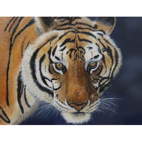 Tigre
