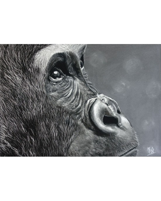 portrait gorille réaliste pastel – Le regard de l’âme – Cindy Muraille