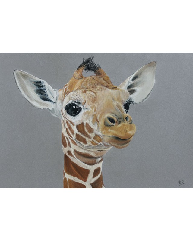 portrait girafon réaliste pastel – Cindy Muraille