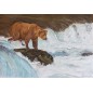 La pêche du saumon