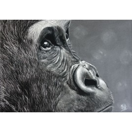 Le regard de l'âme