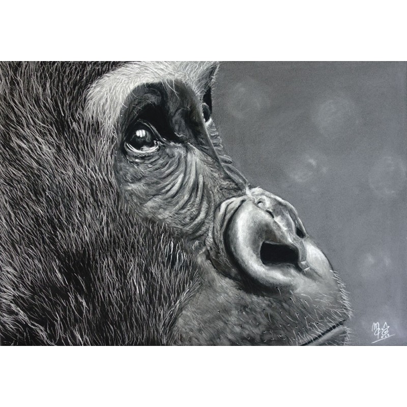 Le regard de l'âme