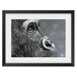 Chimpanzée