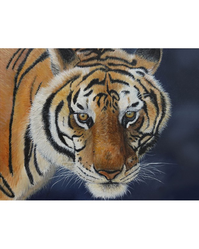 peinture huile tigre gros plan – Cindy Muraille