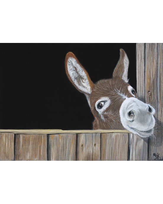 portrait âne réaliste pastel – La tête curieuse – Cindy Muraille