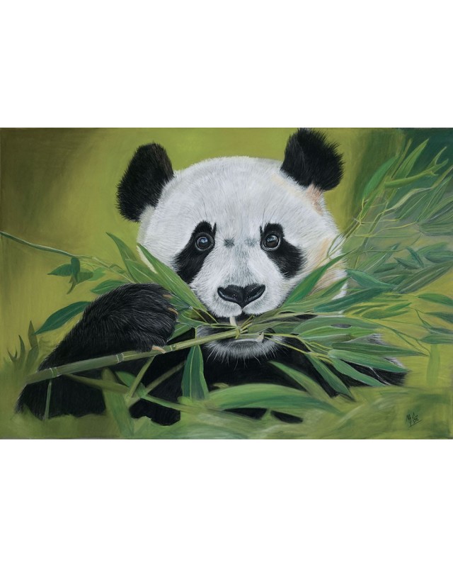 portrait panda réaliste pastel – Pause bambou – Cindy Muraille