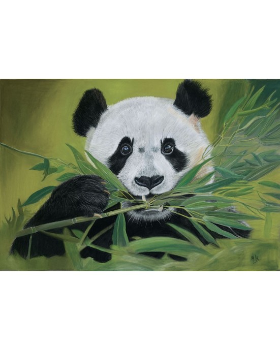 portrait panda réaliste pastel – Pause bambou – Cindy Muraille