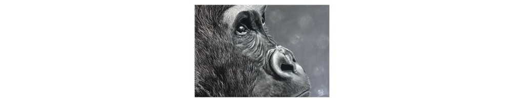 Tirages d’art animaliers – Reproductions haute qualité