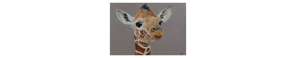 Œuvres originales – Dessins et peintures animalières uniques