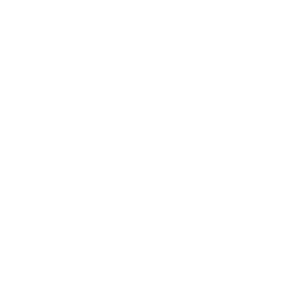 turtle.png
