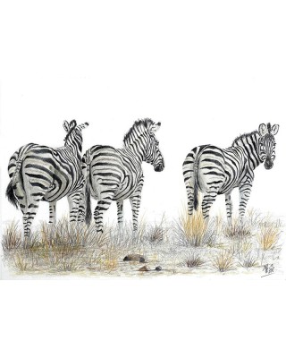 Curiosité collective