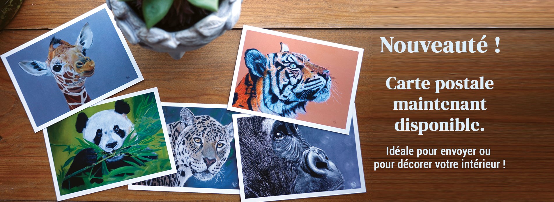 carte-postale-art-animalier
